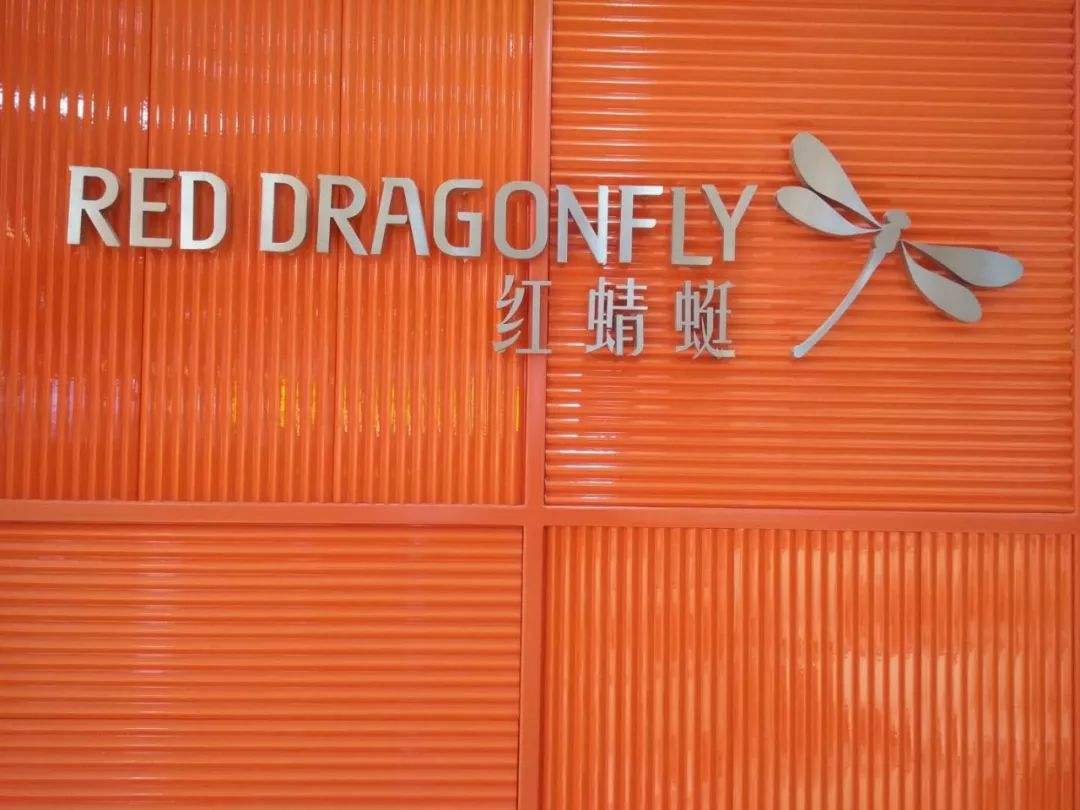紅蜻蜓皮鞋